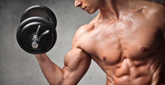¿Cuál es el músculo más fuerte?